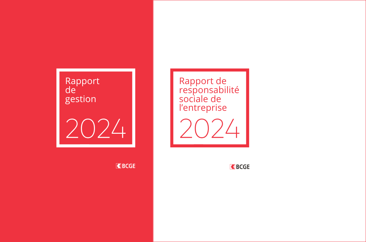 Publication du rapport de gestion  et du rapport RSE